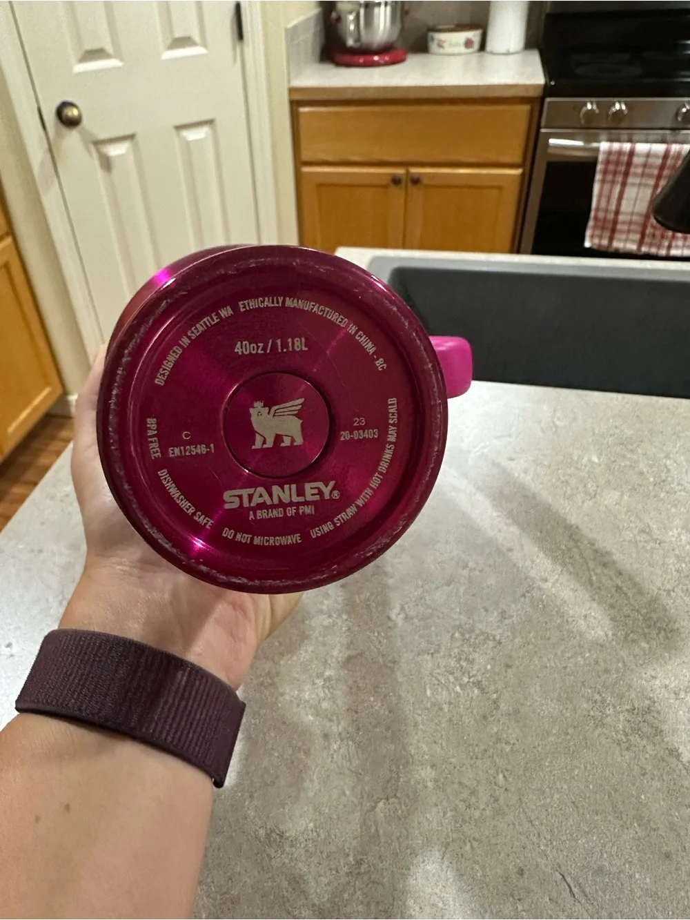 Stanley Magenta Stainless Steel Travel Tumbler with Handle and Straw Lid